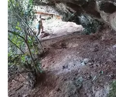 Fotografia de LLADRES, COVA DELS (3 de 3)