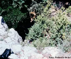 Fotografia de BIOT, COVA DEL (1 de 1)