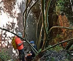 Fotografia de CASA FALSA, COVA FALSA DE LA (2 de 5)