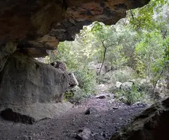 Fotografía de LLOP, COVA DEL (3 de 3)