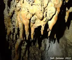 Photograph of ESCANALS, TOSCA DELS (5 of 6)