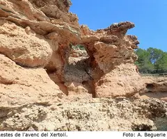 Photograph of XERTOLÍ, COVES DEL (7 of 7)