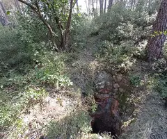 Fotografía de CLAR Nº 2,  AVENC (1 de 5)