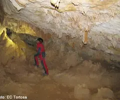 Fotografia de PRATS, COVA DELS (3 de 8)