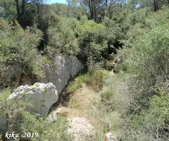 Fotografía de JOAN FALGÀS, COVA D'EN (1 de 5)