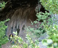 Photograph of AMAGADA DEL SAÜC, BALMA (2 of 4)