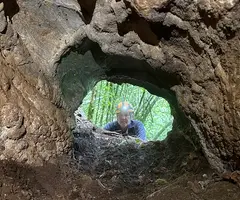 Fotografia de MEANDRE, COVA DEL  (5 de 6)