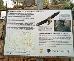 Fotografía de PICOSSA, AVENC DE LA (9 de 9)
