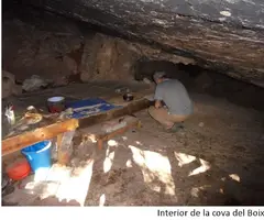 Photographie de BOIXAR, COVA DEL (4 sur 4)