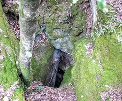 Photograph of GUILLOTERES, COVA DE LES (2 of 3)