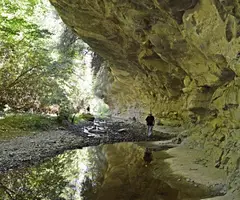 Photograph of TORRENT DE LA FÀBREGA, BAUMA DEL (2 of 2)