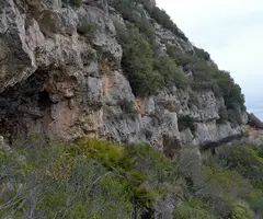 Fotografía de FLORO, COVA DEL (1 de 1)