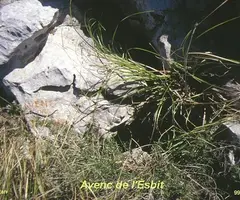 Fotografia de ESBIT, AVENC DE L' (1 de 4)