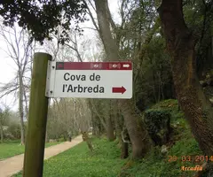 Photographie de ARBREDA, COVA DE L' (1 sur 6)