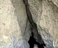 Fotografia de ARGONAUTA, COVA DE L' (1 de 2)