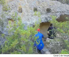 Fotografia de VESPELLA, COVA C DE (1 de 2)