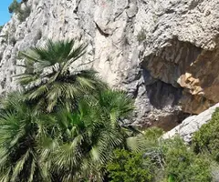 Fotografía de FONDO DEL BRUC, COVARRONS DEL (2 de 3)