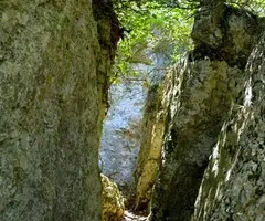 Fotografia de CALAIXOS DE L'ERELDO, COVA DELS (5 de 6)