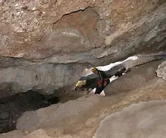 Fotografia de TRONASSA DE LA TOR, LA (3 de 6)