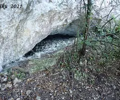 Photographie de CINGLE DE PUIGXIQUET, COVA DEL (1 sur 5)
