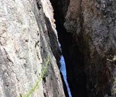 Fotografia de RONCADORA, SA (4 de 4)