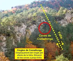Fotografía de COMALLONGA, COVA Nº1 DE (1 de 4)