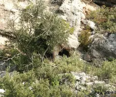 Fotografia de SANTA ANNA, COVA GRAN DE (1 de 1)