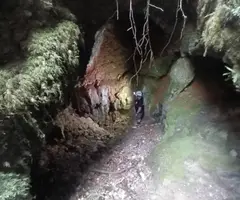 Fotografía de BAIARRI, GRALLERA DE (3 de 6)