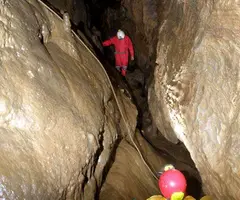 Fotografia de RIALB, COVA DE (8 de 8)