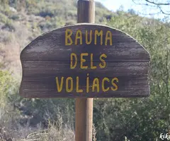 Photographie de VOLIACS, BAUMA DELS (1 sur 5)