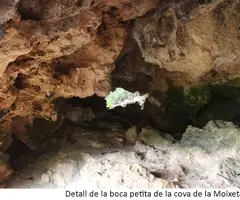 Photographie de MOIXETA ALTA, COVA DE LA (2 sur 2)