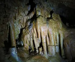 Fotografia de CAN RIGOL Nº 2, COVA DE (3 de 11)
