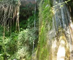 Photographie de FONT DELS CAPELLANS, COVA DE LA (2 sur 4)