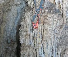 Fotografia de FLORESSO, AVENC D'EN (4 de 6)