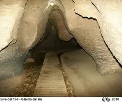 Fotografia de TOLL, COVA DEL (17 de 26)