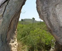 Fotografia de XARO, COVA (2 de 3)