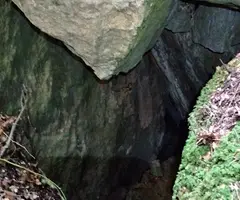 Fotografía de DOLINA, AVENC DE LA (2 de 4)