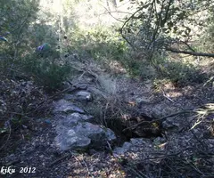 Fotografía de RUNES, AVENC DE LES (1 de 2)