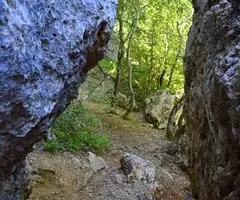 Fotografia de CALAIXOS DE L'ERELDO, COVA DELS (1 de 6)