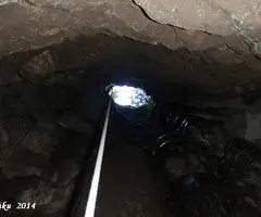 Fotografía de ALSAMORA, GRALLERA PETITA D' (3 de 6)