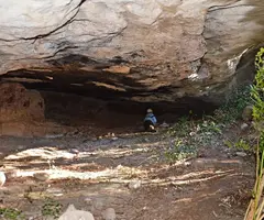 Fotografia de FIGUERA, BALMA DE LA (1 de 4)