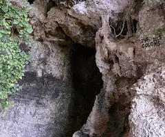 Fotografia de COLOMS, COVA DELS (1 de 3)