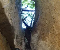 Fotografia de MATA, COVA DE LA (1 de 9)