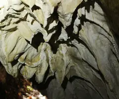 Photographie de OBLIDADA, TUTA (4 sur 9)