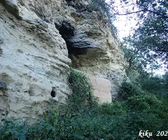 Fotografia de MALLORQUÍ, COVA DEL (1 de 6)