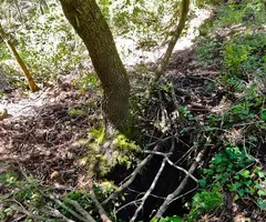 Photograph of FORN DE PEGA DEL DALMAU, AVENC DEL (1 of 1)