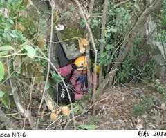 Fotografia de NR-4-5-6, AVENCS (1 de 9)
