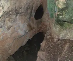 Fotografía de NEROLA, COVA DE (2 de 2)