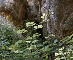Fotografía de REGAL-MARCET, COVA (2 de 6)