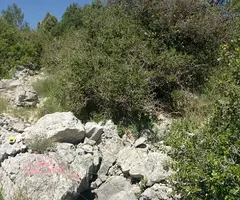 Photograph of TORRENT DEL COLL DE LA CREU, AVENC DEL (1 of 7)